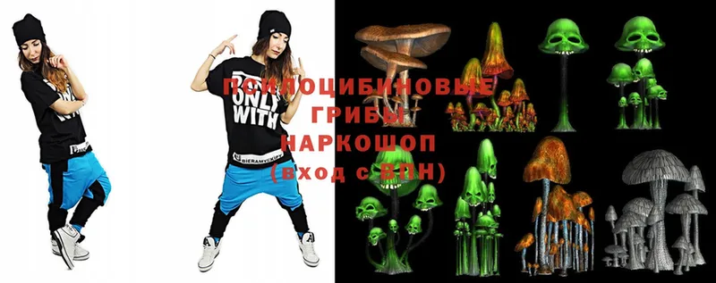 Псилоцибиновые грибы Magic Shrooms  Калязин 